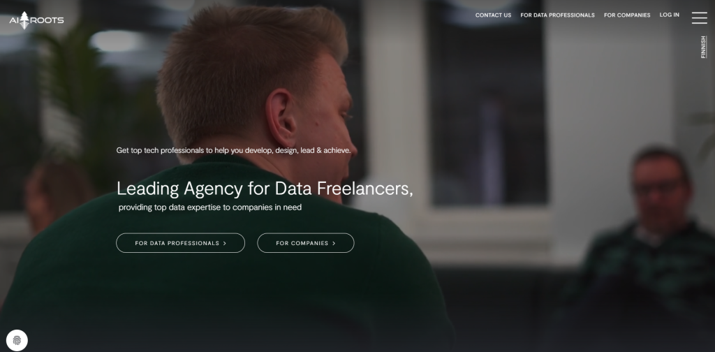 AI Roots Oy IT Consulting